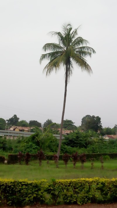 Photos of Institute of Agricultural And Research Training