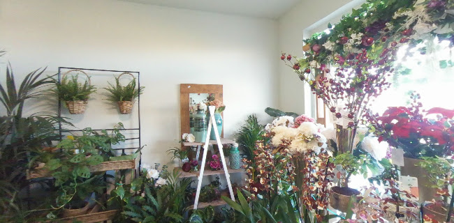 Αξιολογήσεις για το Shop In flowers - ανθοπωλείο στην Χανιά - Ανθοπωλείο