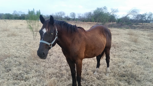 Las Palomas Wildlife Management Area - Prieta Unit