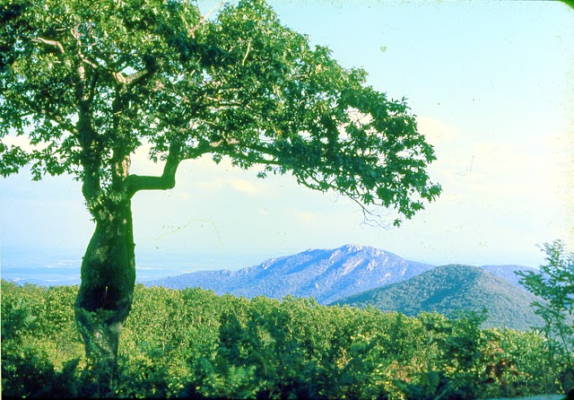 Shenandoah National Park, Front Royal Entrance Station