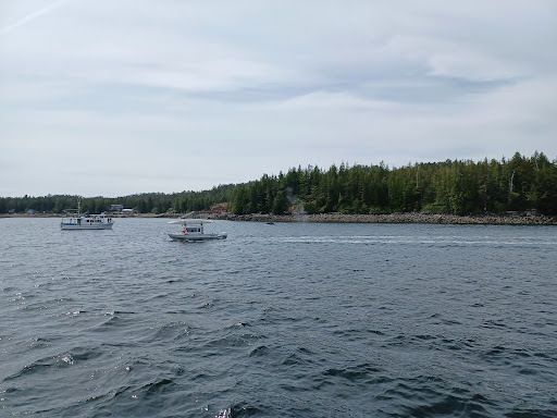 Allen Marine Tours - Thumbnail