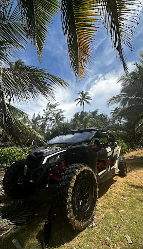 Puerto Rico Can Am Rentals