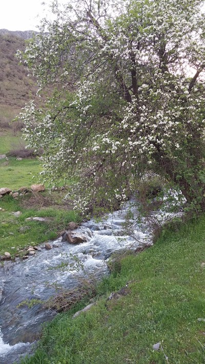 Photos of Yemişli