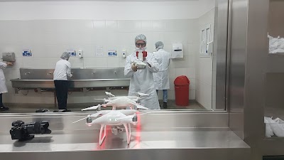 Photos of Dilexis Sa