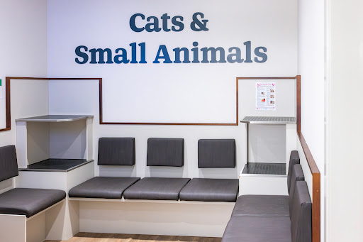 Vets for Pets Basildon Pitsea 24/7 Hospital - Thumbnail