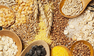 Photo n°1 de Coté Grain à Sainte-Thorette (Magasin d'alimentation animale)