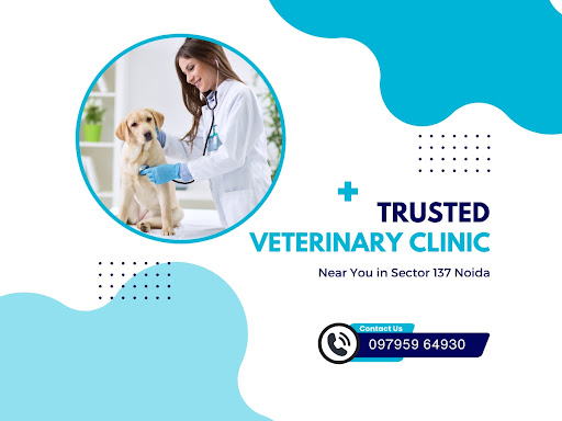 Trusted Veterinary Clinic Near You in Sector 137 Noida post image