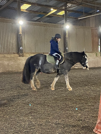 Newton Ferrers Equus - Thumbnail