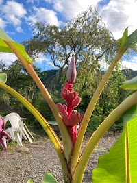 タートルエイト（ＮＰＯ法人）