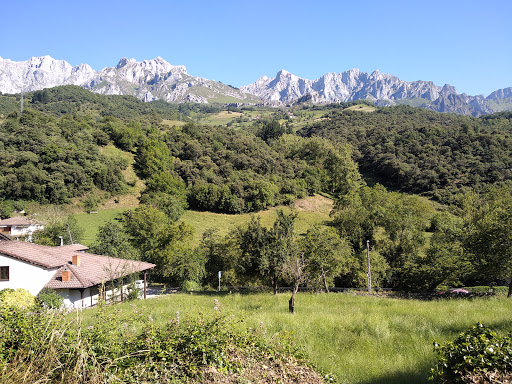 Queseria Río Deva - Visual