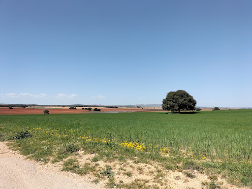Lagunas de Corral-Rubio