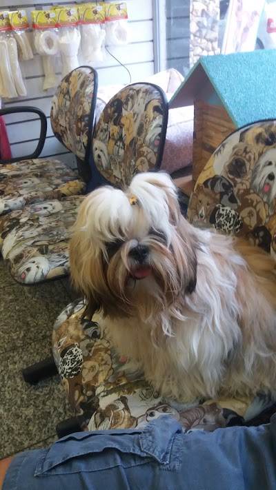 Photos of Pet Home - Unit President Backer