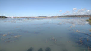 Photo n°18 de TrottEvents Le Touquet à Le Touquet-Paris-Plage (Agence de visites touristiques)