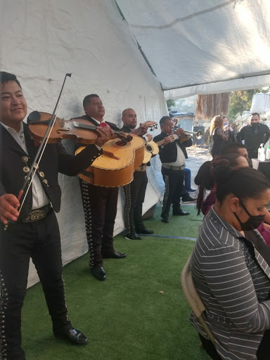 Mariachi juvenil monumental