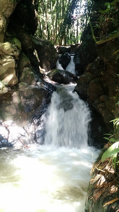 Photos of Parque de la fruta