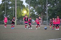 セレッソ大阪子どものサッカースクール 泉佐野校