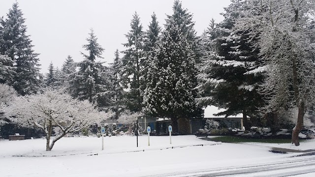 Federal Way