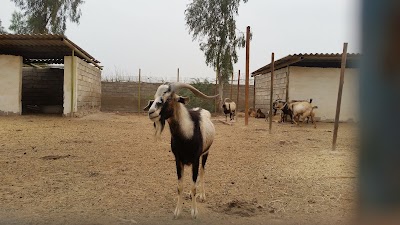 Photos of باغ وحش - حديقة الحيوانات