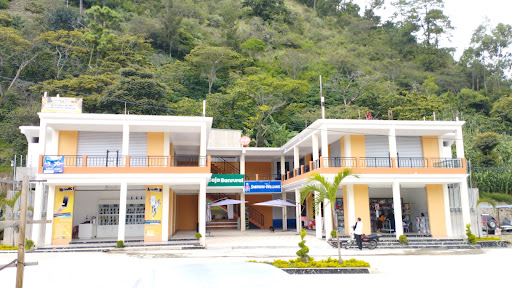 Migdalia's center - Visual