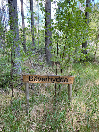 Dovra Sjöar - Thumbnail