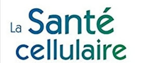 Photo n°17 de Du Corps à l'Âme, Divine Lumière.Magnétiseuse/Énergéticienne/Mémoires Akashiques/Holistique/Pierres naturelles/Spiritualité à Le Val (Praticien de médecine alternative)