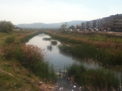 Photos of Elit spor kul&uuml;b&uuml; Y&uuml;zme & Tenis
