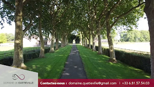 Photo n°2 de Domaine de Quétieville à Belle Vie en Auge (Éleveur de chevaux)