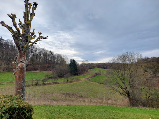 Friedhof Imshausen - Thumbnail