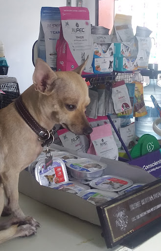 clínica veterinaria y forrajeria san francis de Asís