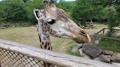 Cleveland Metroparks Zoo