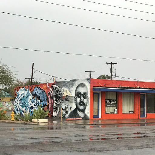 Frida's Garden