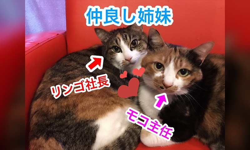 整体院ニコール（ｎｉｃｏａｌｌ）