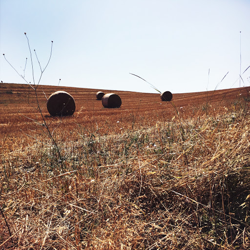 Croce al pino - Thumbnail