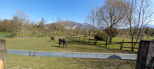 Scuderia il Campo - Thumbnail