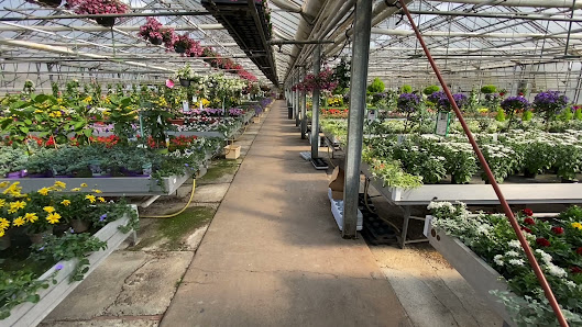 Blumen Berchtenbreiter Bachstraße 74, 63762 Großostheim, Deutschland