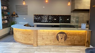 Bear Hut Brownies