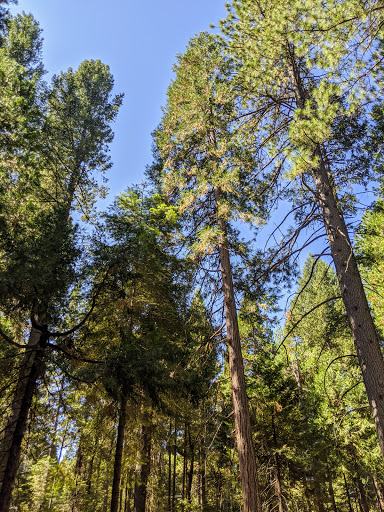 White Cloud Campground - Visual