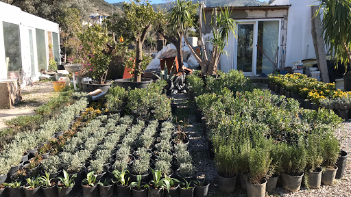 Heaven Garden