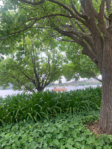Parkes Place East Lawns Gallery - Australia