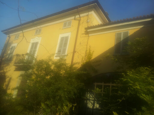 Bosco Manstretta - Visual