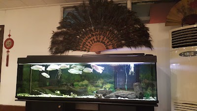 Photos of Restaurant Chinois Jardin de Bambous