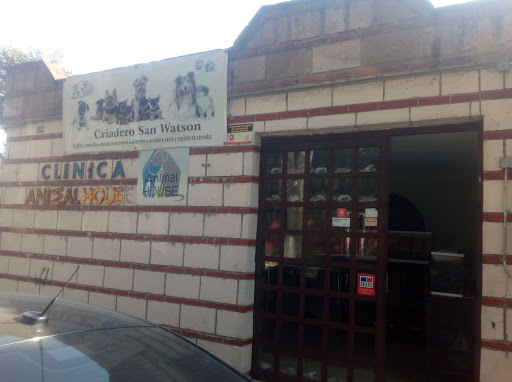 Veterinaria Animal House - Thumbnail