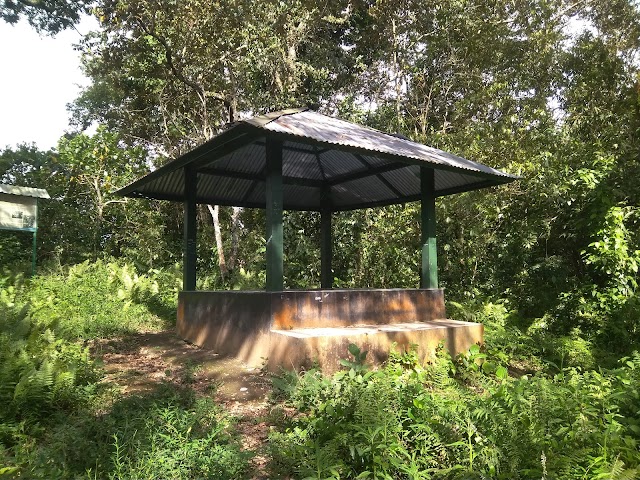 Mount Rinjani National Park