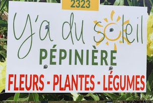 Photo n°1 de Y'a du soleil pépinière à Robion (Pépinière)