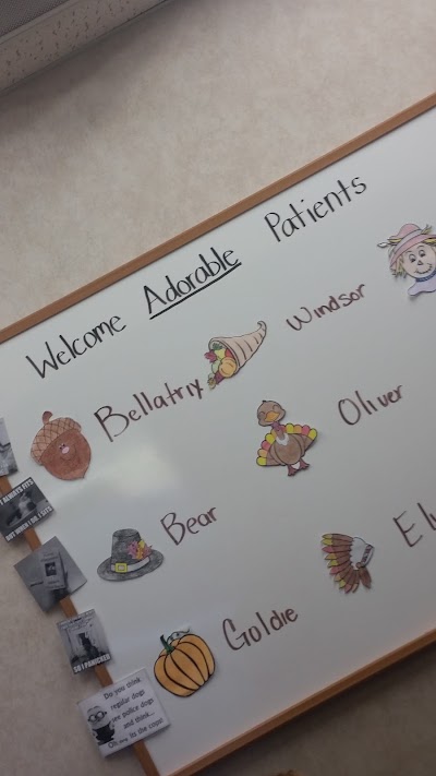 Photos of Peoria Animal Hospital