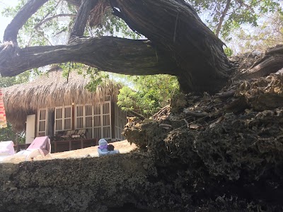 Photos of Coralina Island