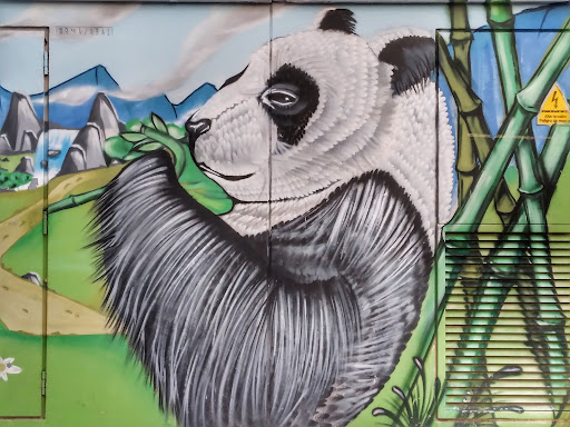 Mural "Osos Panda" Gallery - Spain