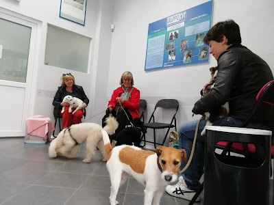 Ambulatorio Medico Veterinario Dott. Cristina Tarizzo Gruppo CVIT