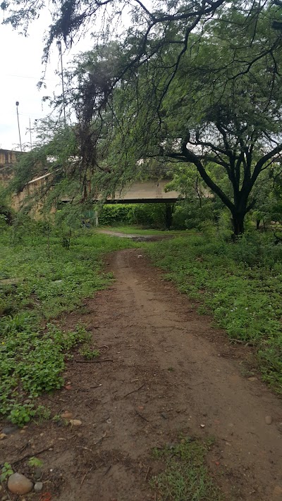 Photos of Villas del Escobal