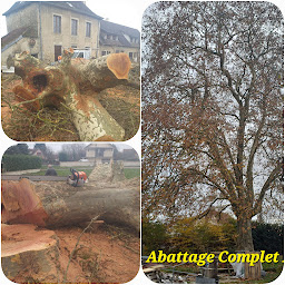 Photo n°15 de Gand anthony à Courlaoux (Service d'élagage)